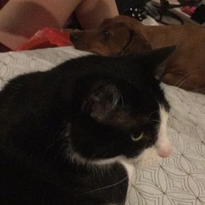 Meet your Posher, Tiara